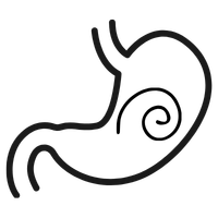 Black line drawing of a stylized stomach on a white background